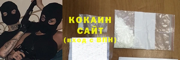 эйфоретик Дмитриев