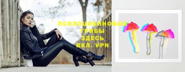 эйфоретик Дмитриев