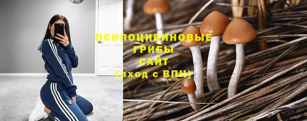 MDMA Premium VHQ Дмитровск