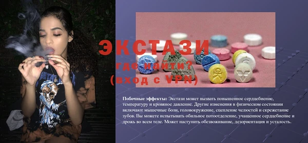 СК Дмитров