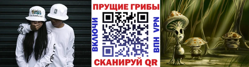 Галлюциногенные грибы Magic Shrooms  Орск 